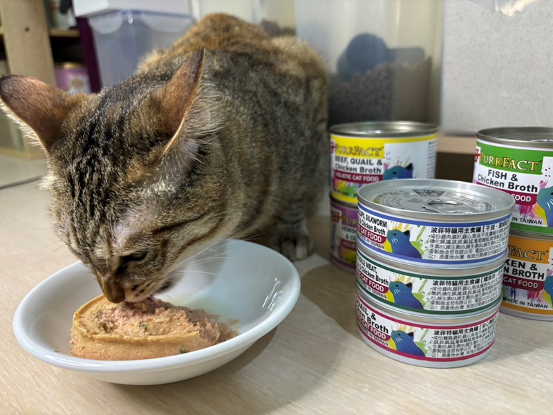 女人知己試用大隊,口碑行銷,部落客行銷,PURRFACT 波菲特貓用主食罐,主食罐,PURRFACT波菲特,貓主食罐,貓罐,PURRFACT波菲特貓用主食罐,魚肉蔓越莓主食罐,鮮嫩雞主食罐,鹿肉雞肉主食罐,牛肉鵪鶉貓主食罐,干貝蠶蛹配方,鱷魚肉白木耳配方,雞肉魚肉配方,安心鶉配方,評價,體驗,適口性佳,心得,成貓適用,高齡貓適用,質地是慕絲狀